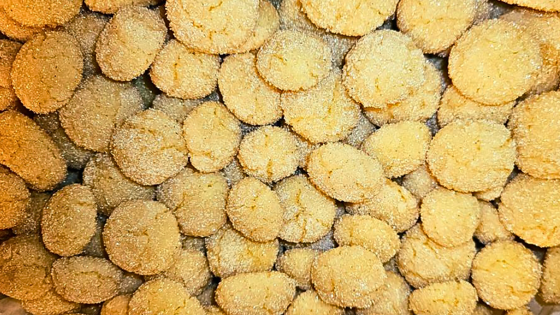 Spiced Citrus Holiday Cookies